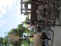 54-Weinfest Estreito de Camara Lobos2