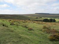 Dartmoor