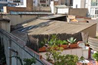 Blicke aus dem Fenster 