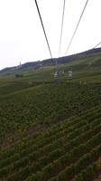 ca. 800 m lang ist die Strecke mit dem Lift von Rüdesheim zum Niederwalddenkmal