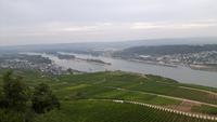 links Rüdesheim, rechts über dem Rhein Bingen