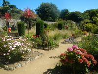 Insel Sark - Garten La Seigneurie 