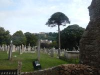 Insel Jersey - St. Brelades