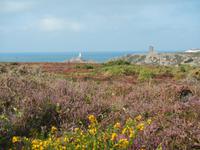 Insel Jersey - Wanderweg La Corbiere