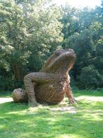 Insel Jersey - Grapaud