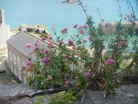 Insel Jersey - Elizabeth Castle