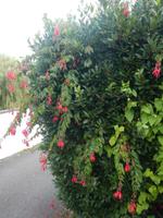 Insel Jersey - Wanderweg Bonne Nuit Bay