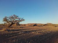Abendstimmung am Alte Kalköfen