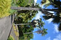 51 Botanischer Garten in Victoria