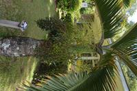 66 Botanischer Garten in Victoria