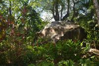 71 Botanischer Garten in Victoria