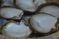 321 Perlenfarm auf Praslin