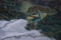 325 Perlenfarm auf Praslin