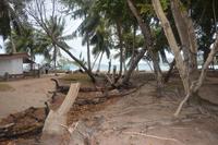 549 Spaziergang auf Curieuse