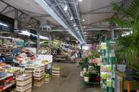 Markthalle von Modena