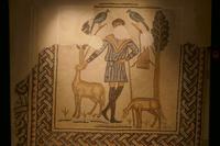 Domus dei Tappeti di Pietra