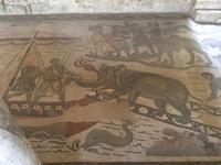 Mosaike in der Villa Romana