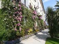 Blumenpracht am Palazzo der Isola Madre.