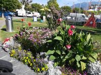 Ascona ist eine Perle am Nordufer des Lago Maggiore.