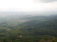 Wo ist der Schwarzwald hin? O.o