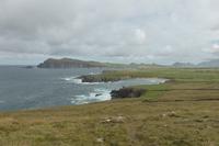 509-Dingle