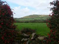 511-Dingle_Gallarus-Oratorium