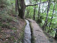 Waalwanderweg