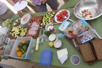 Kgalagadi Park, Picknick