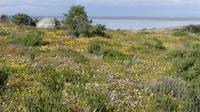 Westcoast Nationalpark