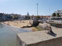 Strand von Cascais