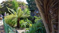 Guernsey, Candle Gardens