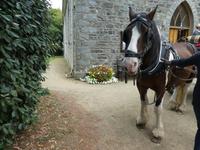 Sark, Kutschpferd bei der Kirche