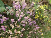 Jersey, Wanderung Nordküste