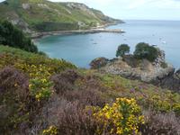 Jersey, Wanderung Nordküste