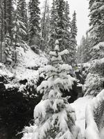 125. Winterwanderung am Maligne Canyon