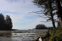 279. Pacific-Rim-Nationalpark - Pazifikstrand