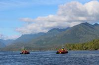 326. Bear-Watching in Tofino
