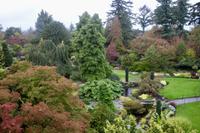 427. Queen Elizabeth Park - Vancouver
