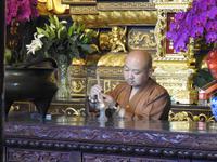 Große Wildganspagode Xian - Dayan Pagoda