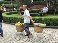 Eling Park Chongqing