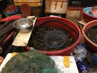 Markthalle Chongqing