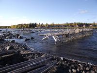 kUKKOLSTROMSCHNELLEN (10)