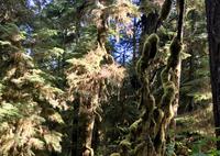 schau ich habe ein Pelzmaentelchen um