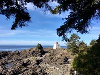 Leuchturm mti Nebelhorn