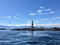 Race Rock bei Victoria