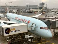 Sie hat uns wieder nach Hause geflogen