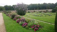 Chenonceaux (9)