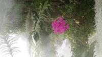 cheverny (5)