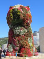 Bilbao - Guggenheim-Museum - Blumenhund