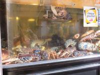 Santiago de Compostela - Altstadt - Fischrestaurant